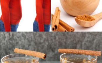 How to Lose Belly Fat In 7 Days – Cinnamon Tea for Weight Loss