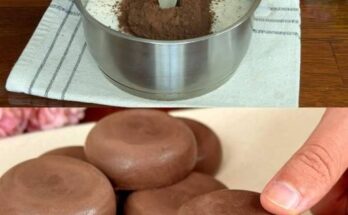 Chocolate Coconut Milk Jelly Recipe