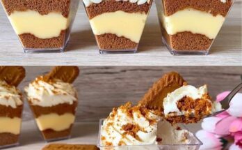 Lotus Biscoff Dessert Cups