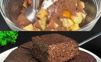 Oatmeal Apple Cocoa Cake