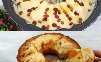 Apple and Raisin Cake