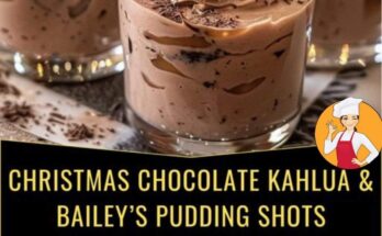 CHRISTMAS CHOCOLATE KAHLUA & BAILEY’S PUDDING SHOTS