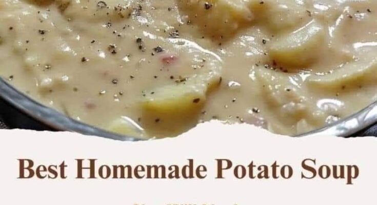 Best Homemade Potato Soup