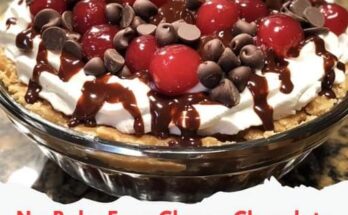 No-Bake Easy Cherry Chocolate Chip Pie