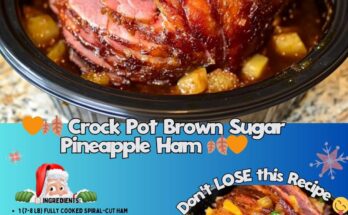 🧡🍂 Crock Pot Brown Sugar Pineapple Ham 🍂🧡