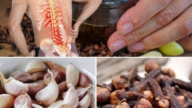 Cloves, Garlic & Honey