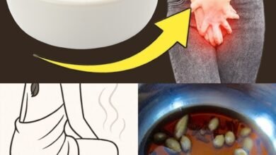 Unlocking the Natural Power of Cloves: Simple Home Remedies for Better Health